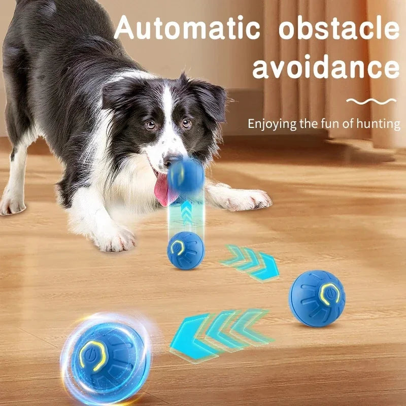 Interactive Toy