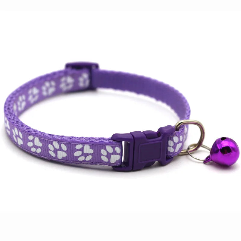 Pet Collar