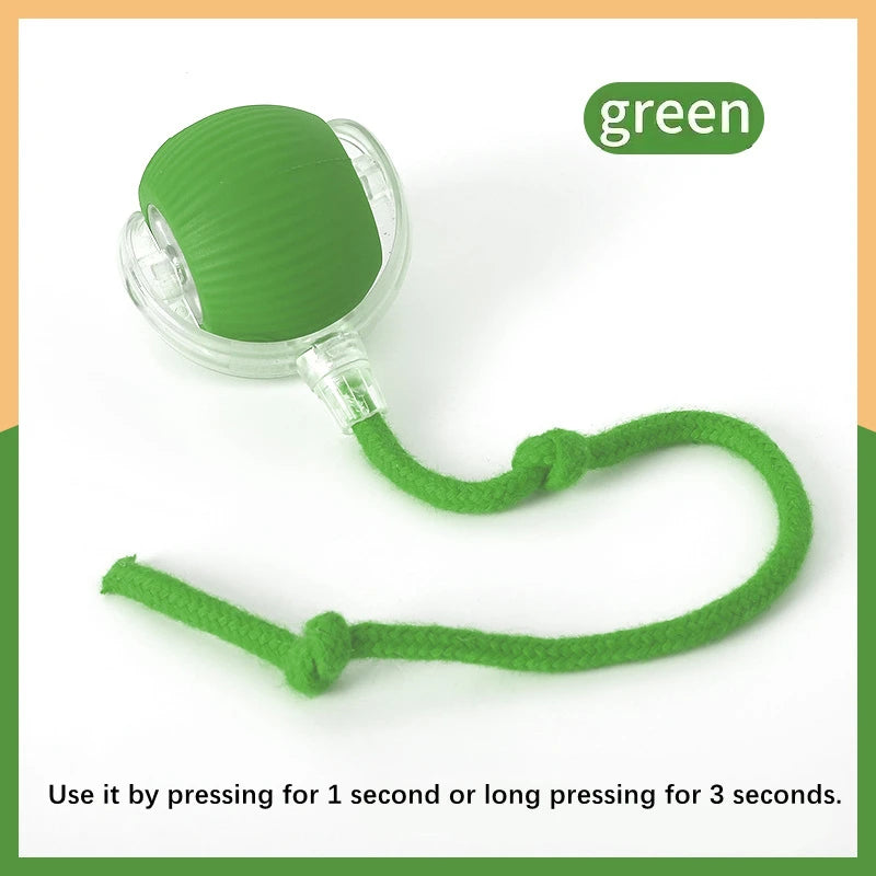 Interactive Toy