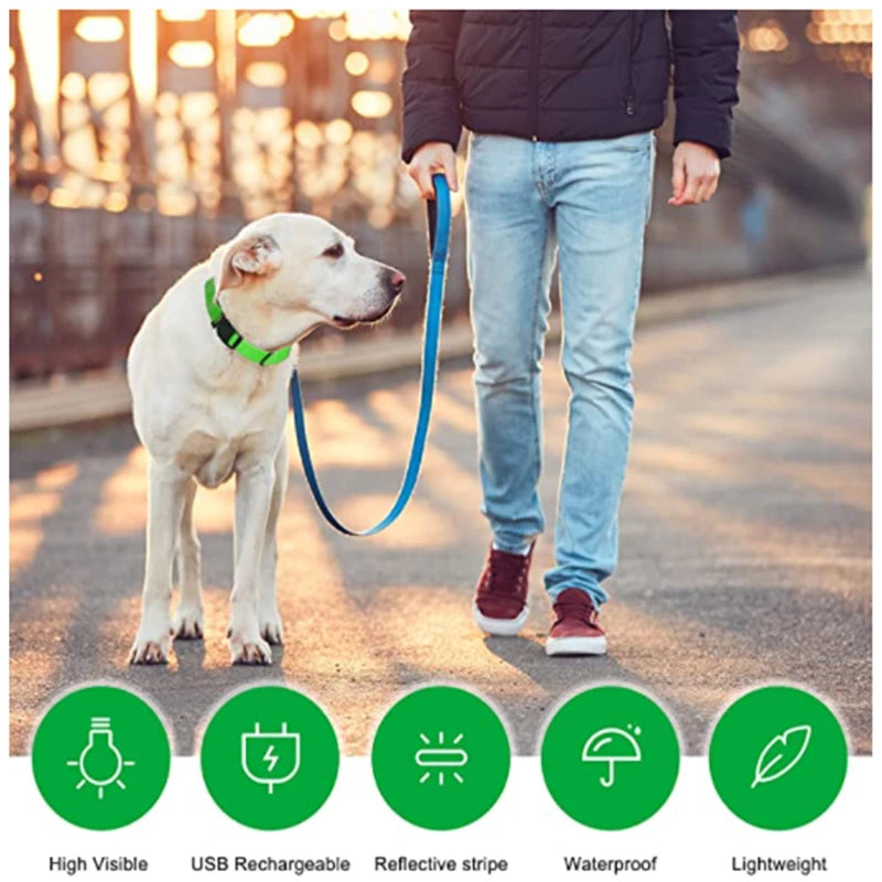 LED Pet Collar