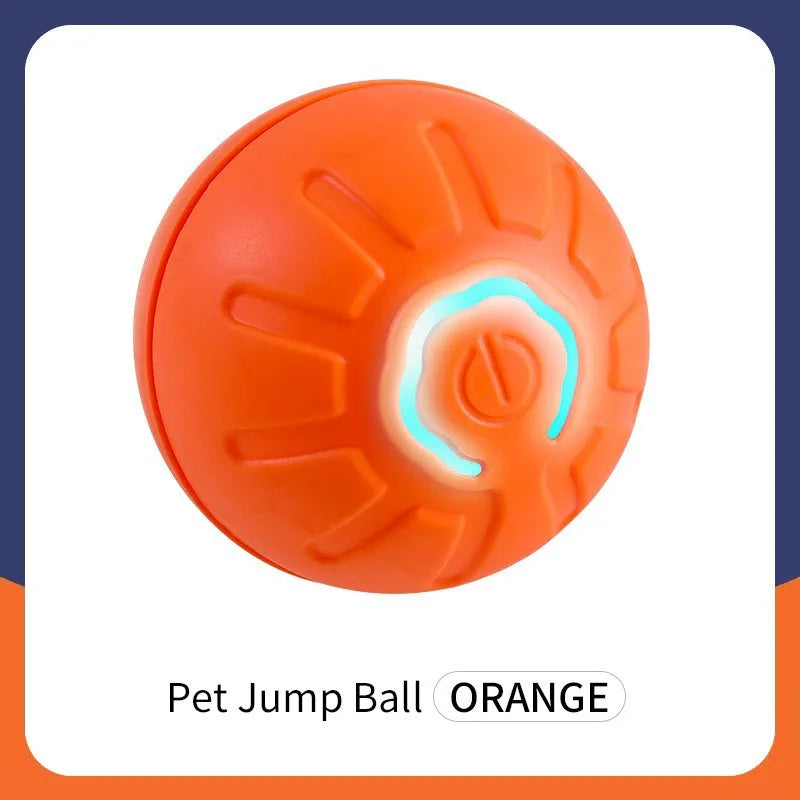 Interactive Toy