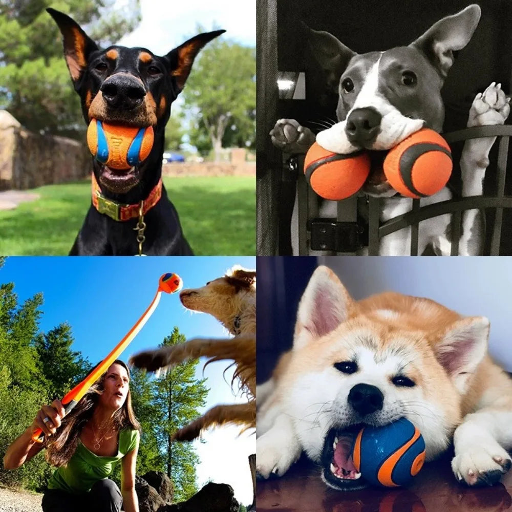 Fetch Ball