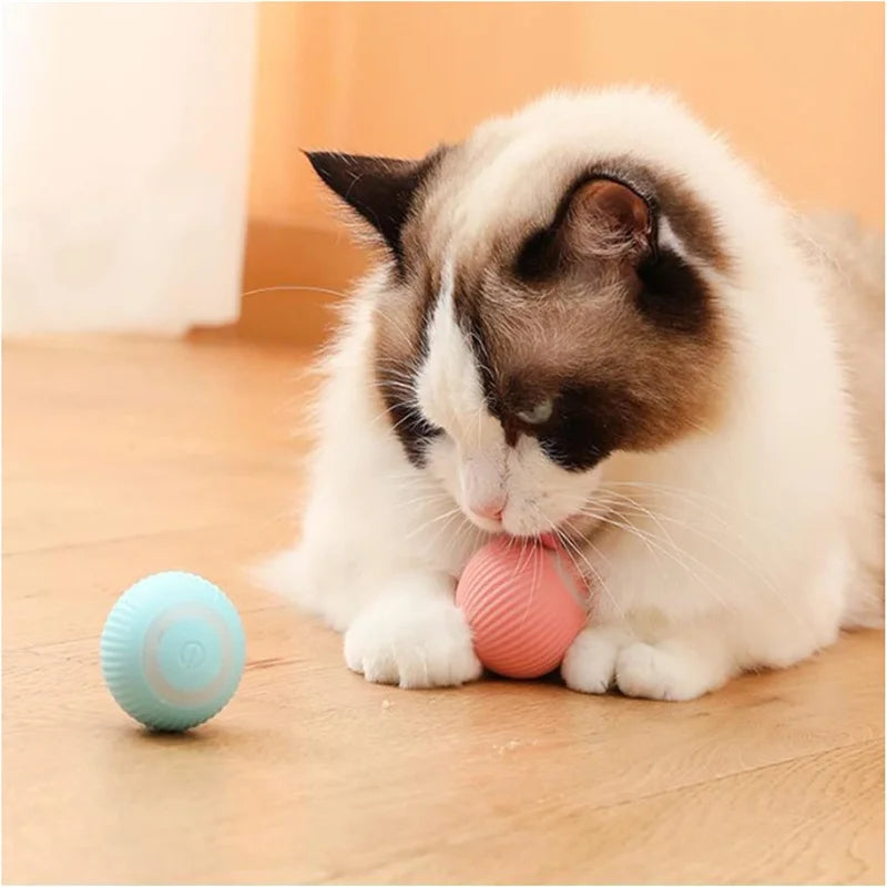 Interactive Toy