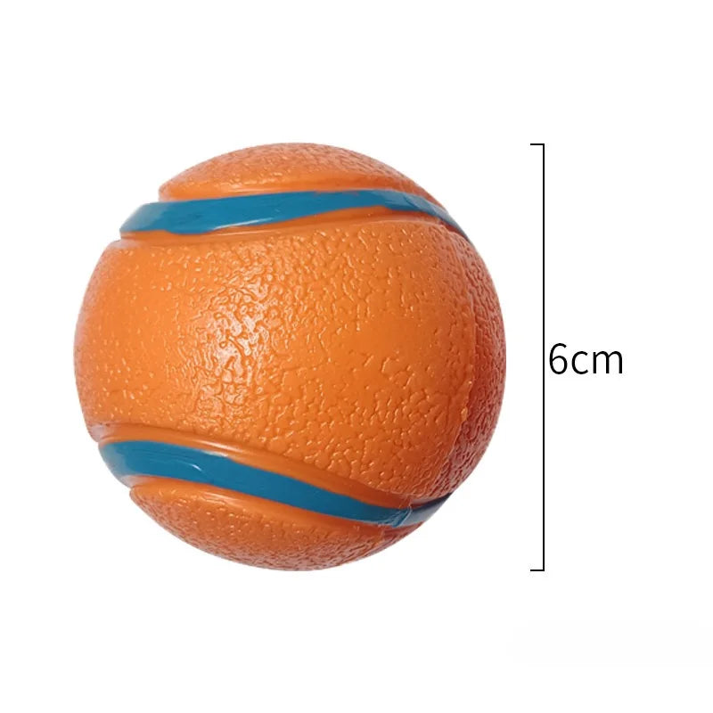 Fetch Ball
