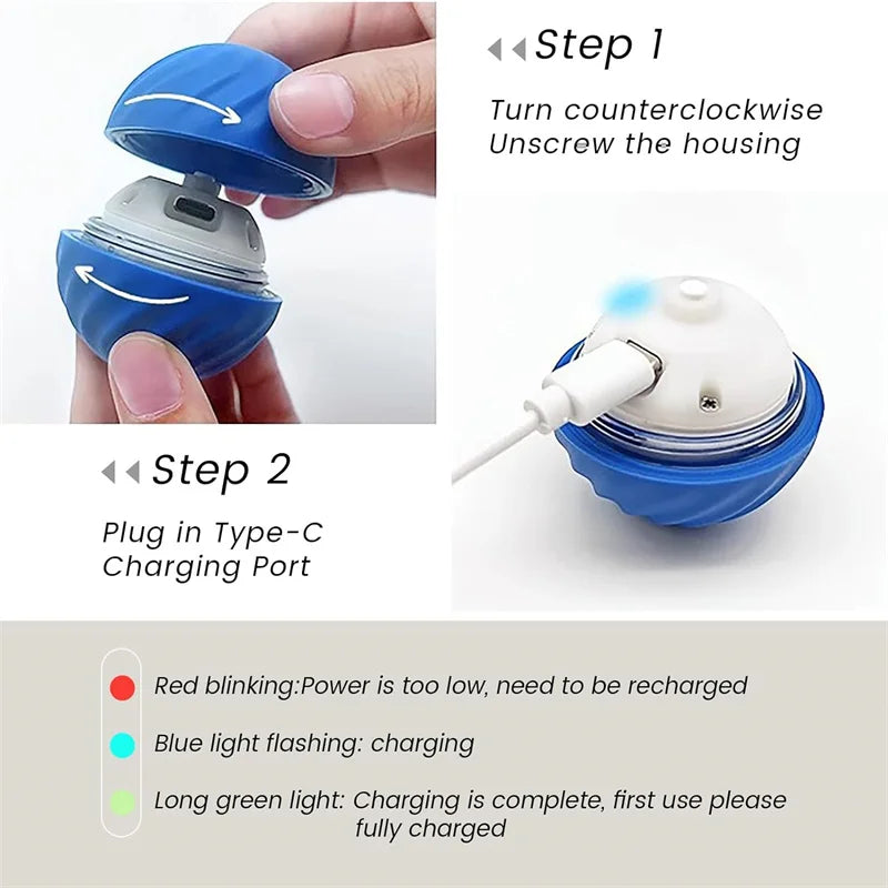 Interactive Toy
