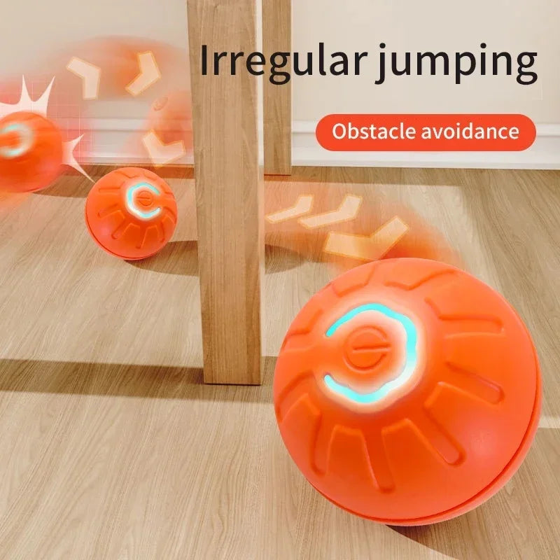 Interactive Toy