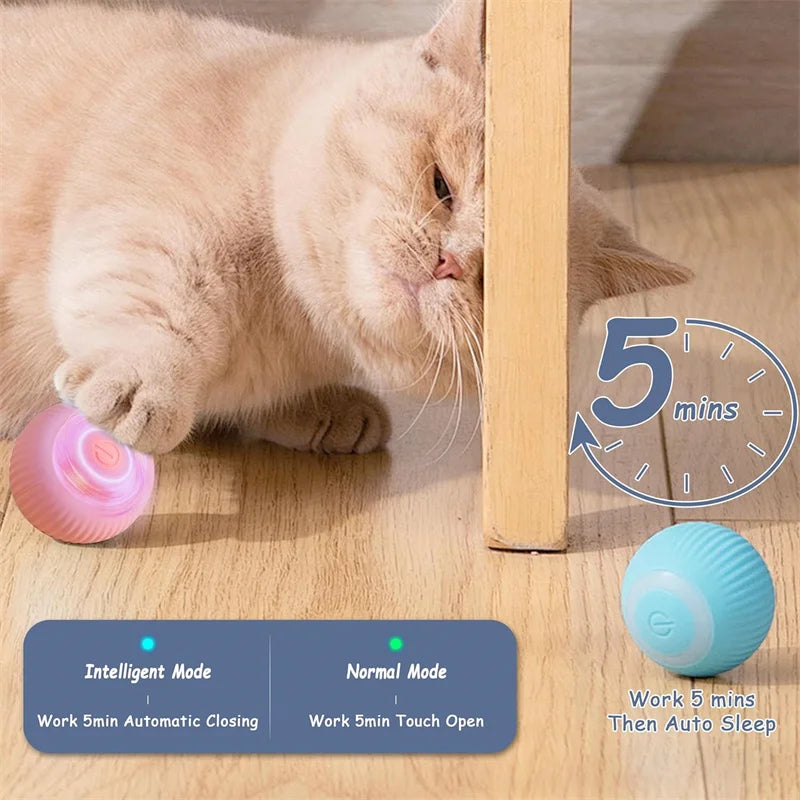 Interactive Toy