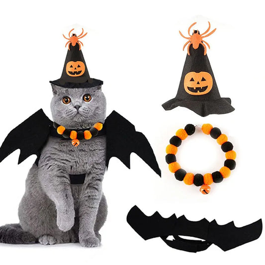 Halloween Costume