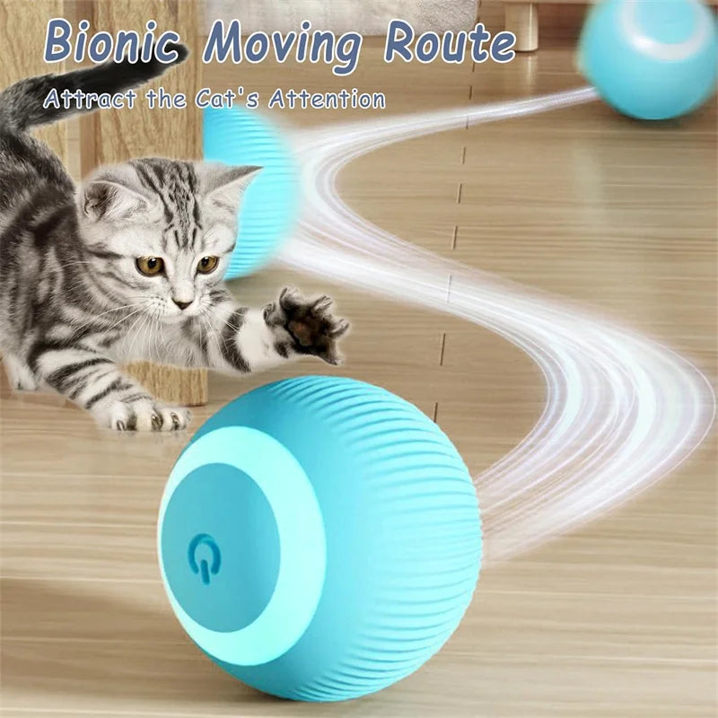 Interactive Toy