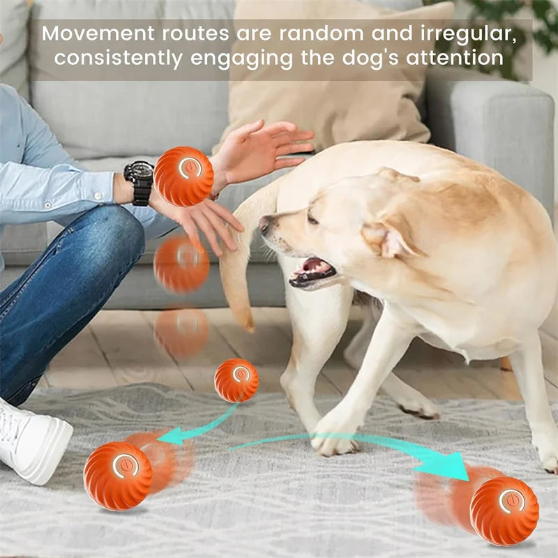 Interactive Toy
