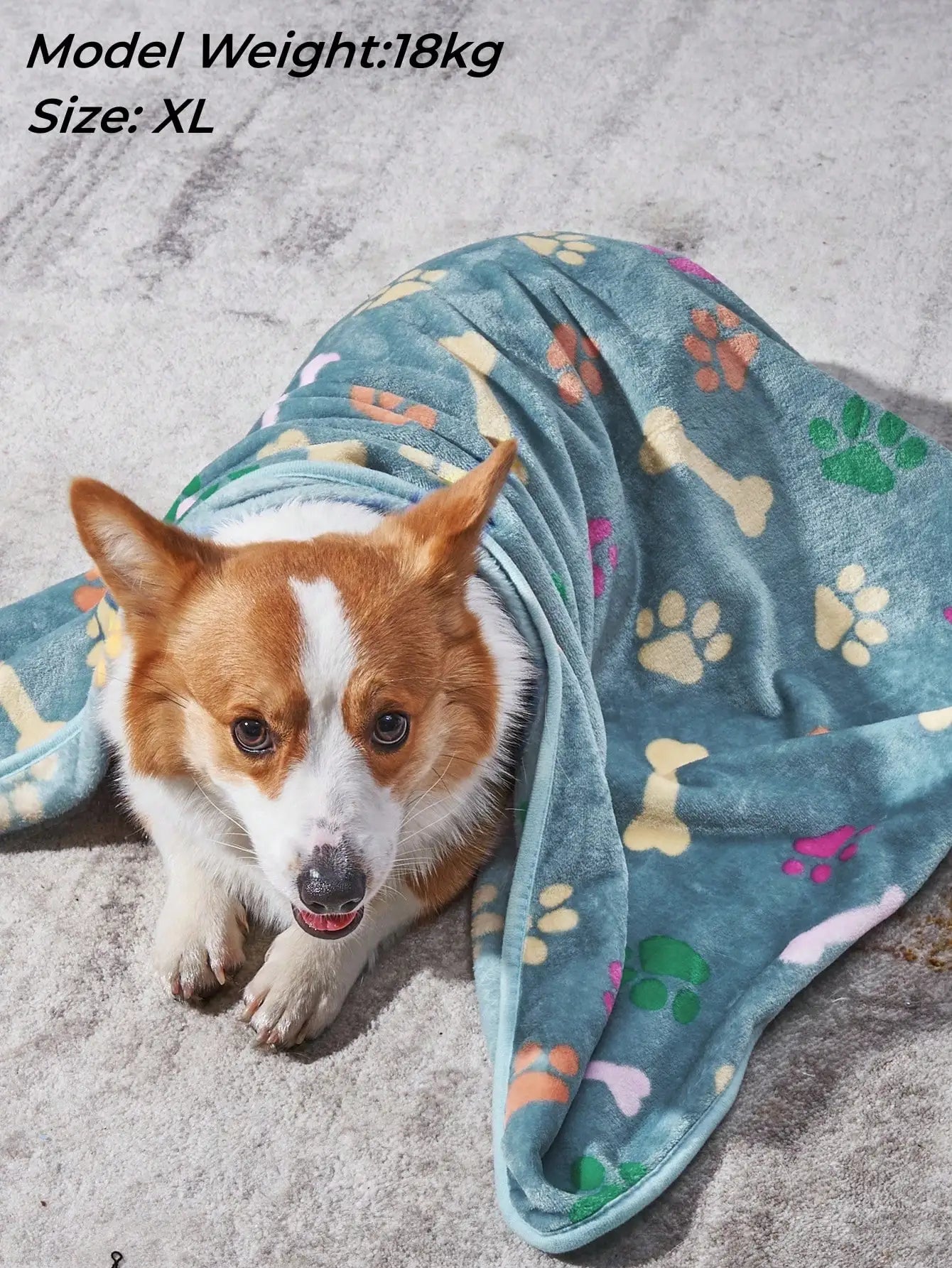 Soft Cozy Blanket