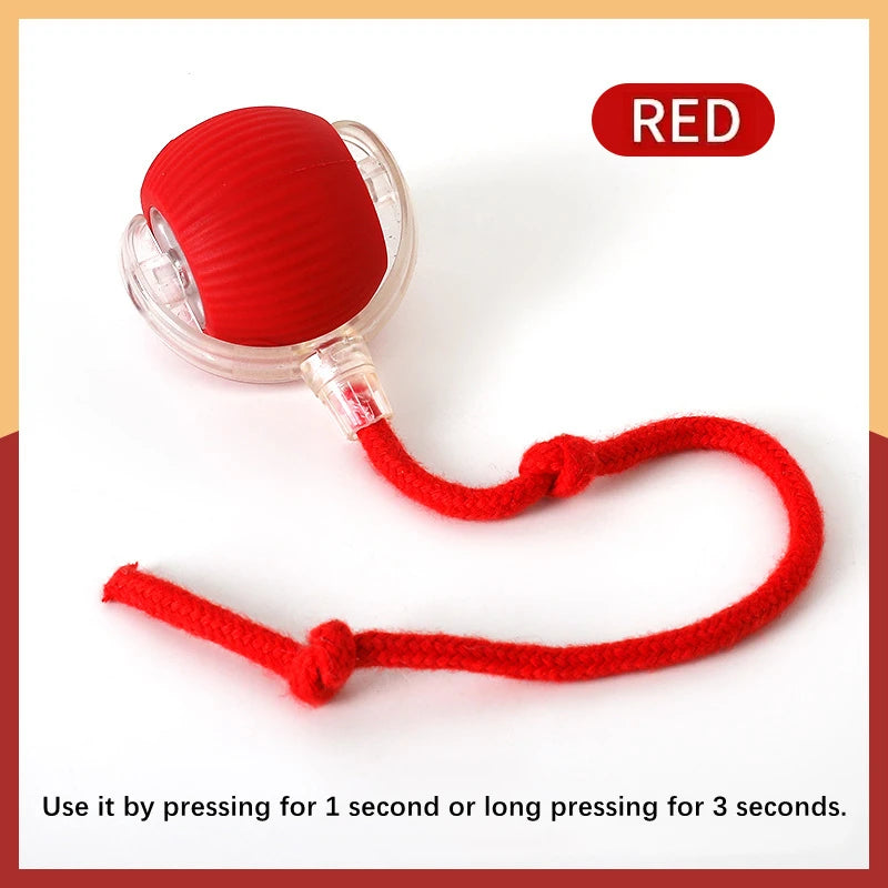 Interactive Toy
