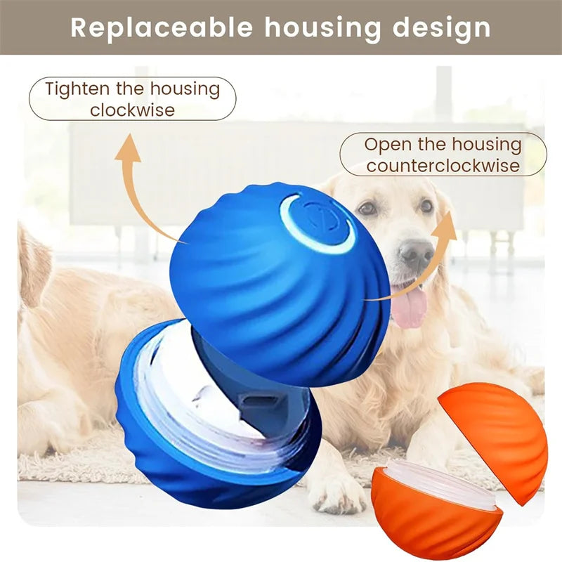 Interactive Toy